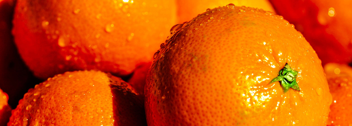 安全的自助平台推荐的网页DDOS攻击平台